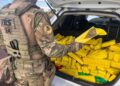 PRF apreende Honda Fit furtado em Curitiba com carregamento de meia tonelada de maconha na BR-277