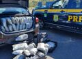 PRF apreende carregamentos que totalizam 280 quilos de maconha “gourmet” no Paraná