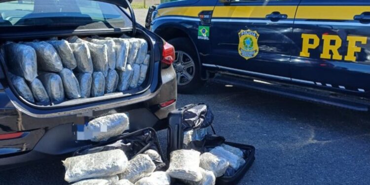 PRF apreende carregamentos que totalizam 280 quilos de maconha “gourmet” no Paraná