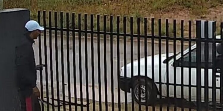 RONE prende ladrões de residência em Curitiba e recupera produtos furtados, veja o vídeo