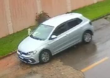 Câmeras flagram gatinho sendo abandonado dentro de saco na RMC, veja o vídeo