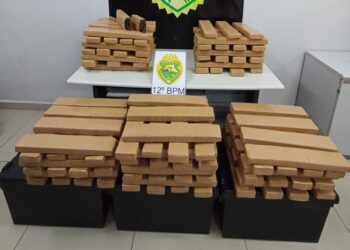 Polícia Militar apreende quase 200 quilos de maconha no Parolin que seria enviada para o Rio de Janeiro