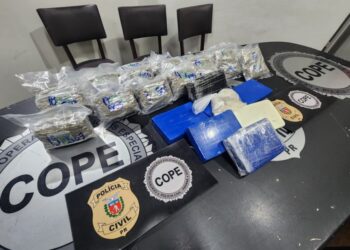 Polícia Civil prende traficante e apreende drogas na BR-277