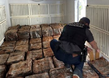 Receita Federal e Polícia Militar apreendem carregamento com 4 toneladas de maconha em operação no Paraná