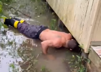 Guarda-vidas salva filhotes de cachorro debaixo de casa alagada