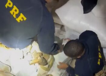 PRF apreende carregamento com quase 2 toneladas de maconha prensada no Paraná