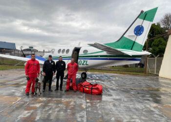 Cães e bombeiros do Paraná embarcam para o RS para ajudar em buscas por vítimas