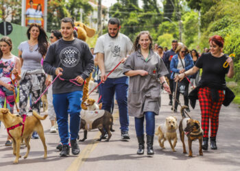 Evento de adoção Amigo Bicho em Curitiba terá Super Cãominhada no sábado