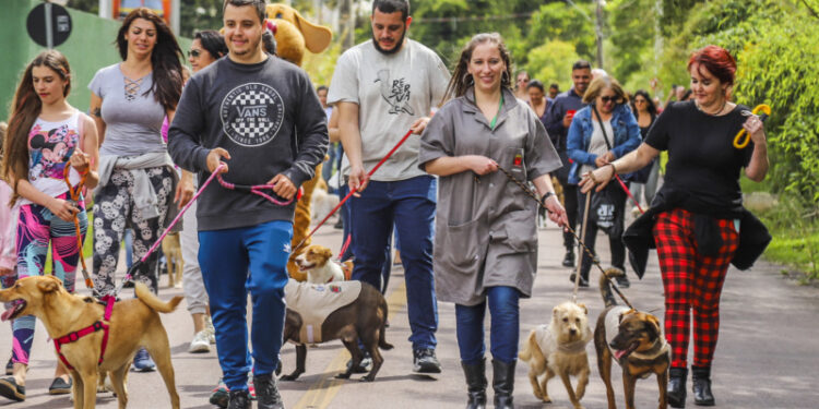Evento de adoção Amigo Bicho em Curitiba terá Super Cãominhada no sábado