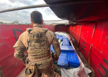 PRF e PMPR apreendem mais de 3 toneladas de maconha em carreta no Paraná