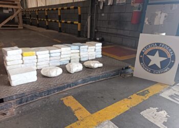 Receita Federal apreende no Porto de Paranaguá carregamentos de cocaína que iriam para África do Sul e Holanda