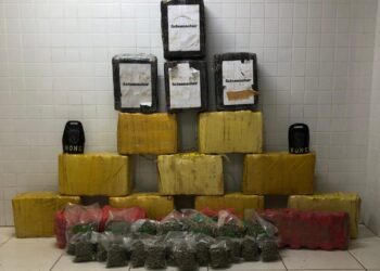 RONE apreende 230 quilos de maconha em Pinhais