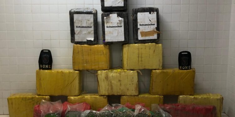 RONE apreende 230 quilos de maconha em Pinhais
