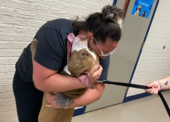 Graças a microchip, mulher reencontra pet perdido há quase 2 anos