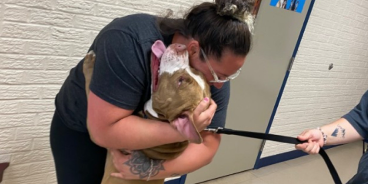 Graças a microchip, mulher reencontra pet perdido há quase 2 anos