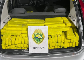 PMPR apreende mais de 500 kg de maconha