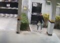 Câmera registra mulher invadindo condomínio e levando bicicleta em São José dos Pinhais, veja o vídeo