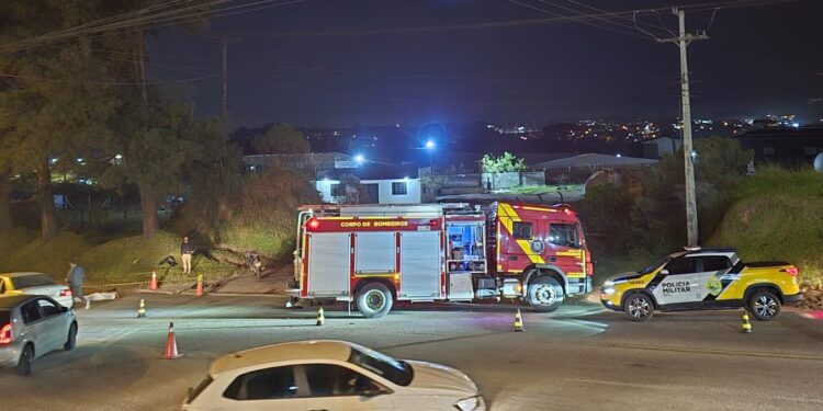 Colisão seguida de atropelamento termina de forma trágica na Rodovia da Uva; há suspeita de homicídio