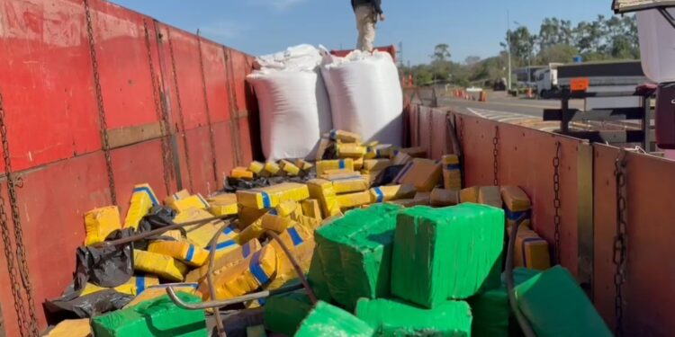PRF apreende carregamento com 1,5 tonelada de maconha no Paraná