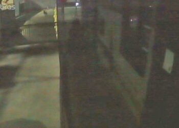 Câmeras mostram mulher saindo de casa noturna e sendo atacada por cães, veja o vídeo