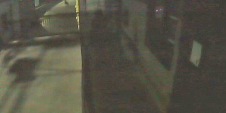 Câmeras mostram mulher saindo de casa noturna e sendo atacada por cães, veja o vídeo