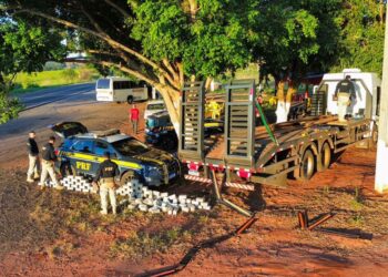 PRF apreende carregamento com 245 kg de cocaína em caminhão-prancha no Paraná