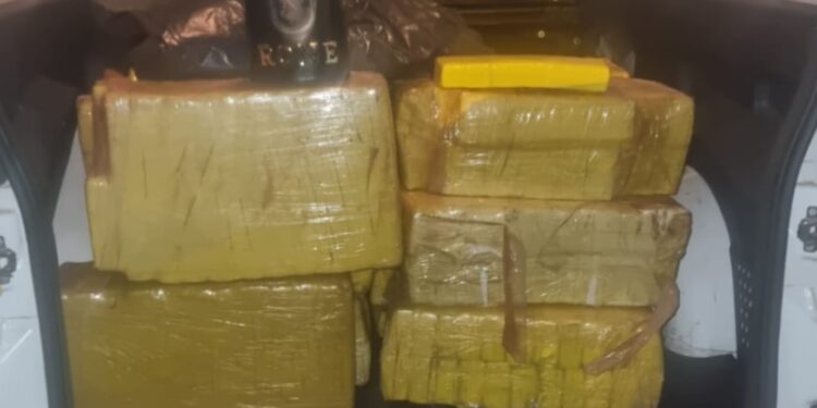 RONE detém trio e apreende carregamento de maconha; um dos detidos é policial civil e outro ex-policial civil