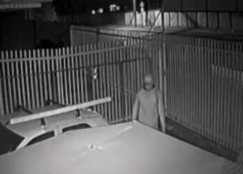 Criminoso invade empresa e furta ferramentas de trabalho no Fazendinha, veja o vídeo