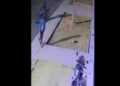 Câmera registra criminosos furtando moto no bairro Portão, veja o vídeo