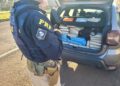 PRF prende casal com diversos tabletes de maconha no carro, no Paraná