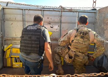PRF e DENARC apreendem 154 kg de cocaína escondidos em caminhão