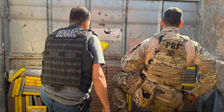 PRF e DENARC apreendem 154 kg de cocaína escondidos em caminhão