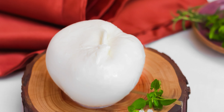 Mozzarella produzida em Curitiba é eleita a melhor do Brasil em competição nacional