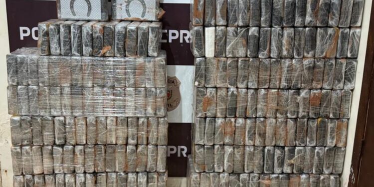 Polícia Civil apreende carregamento de cocaína que poderia render R$ 56 milhões de reais ao tráfico de drogas