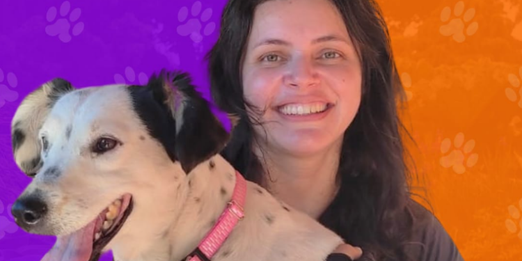 Projeto distribui gratuitamente coleiras com plaquinha de identificação para pets em Curitiba