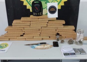 RONE localiza depósito de maconha no bairro Vista Alegre em Curitiba