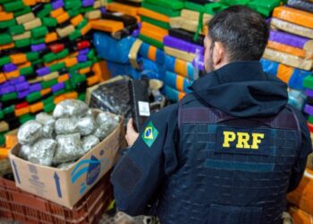 PRF fecha primeiro semestre com número recorde de apreensão de drogas no Paraná