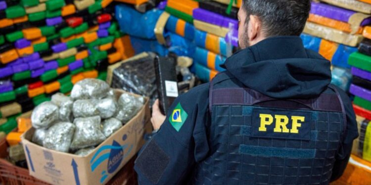 PRF fecha primeiro semestre com número recorde de apreensão de drogas no Paraná