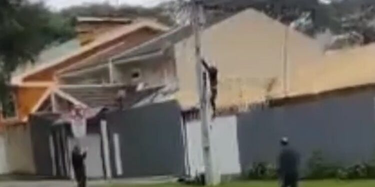 Ladrão de fiação é flagrado e sai correndo como se não houvesse amanhã após ouvir tiro, veja o vídeo