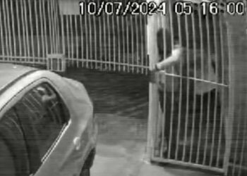 Ladra invade condomínio e furta bicicleta na região metropolitana de Curitiba; veja o vídeo