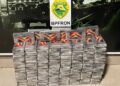 Ação conjunta resulta em apreensão de carregamento de cocaína avaliado em quase R$ 10 milhões de reais