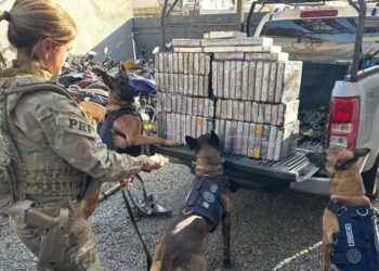 Com ajuda de cão farejador, PRF encontra carregamento de cocaína na região metropolitana de Curitiba