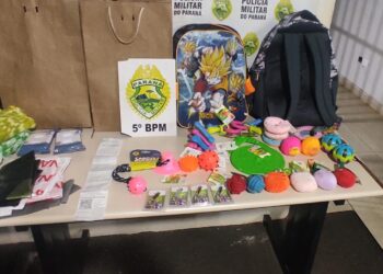 Dupla é presa após ser flagrada furtando brinquedos para pets, no Paraná