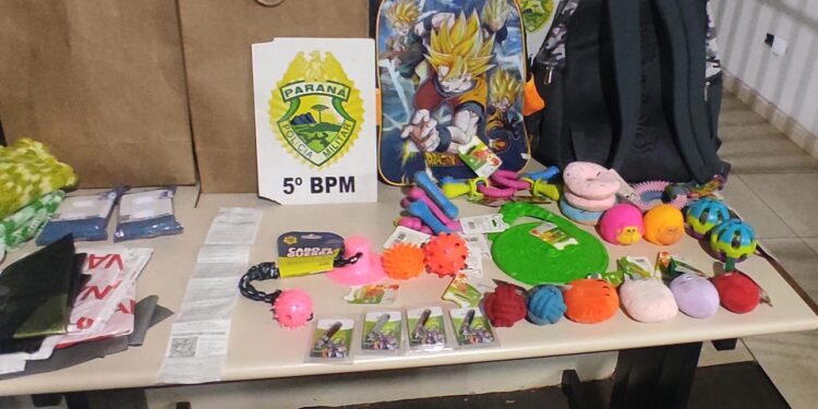 Dupla é presa após ser flagrada furtando brinquedos para pets, no Paraná