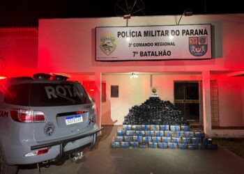 Polícia Militar do Paraná Apreende 910 Kg de Maconha 