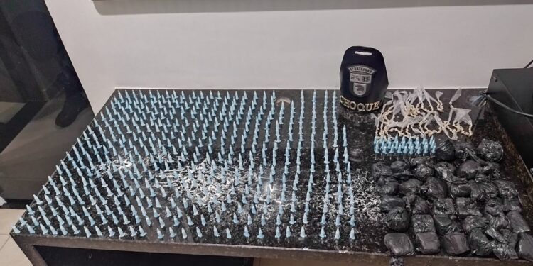 Dupla é presa por tráfico de drogas, no Paraná