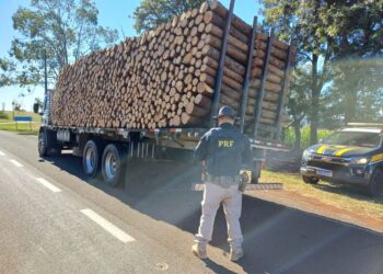 PRF flagra caminhão transportando carga de madeira sem amarração no Paraná