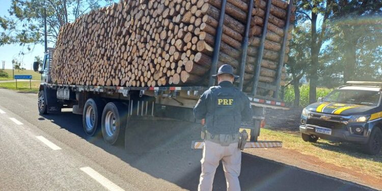 PRF flagra caminhão transportando carga de madeira sem amarração no Paraná