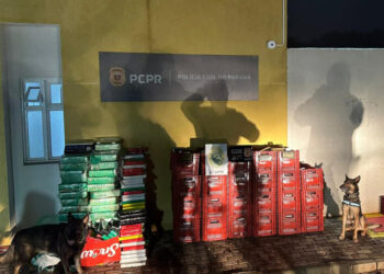 PCPR e PMPR apreendem 1,1 tonelada de maconha durante operação