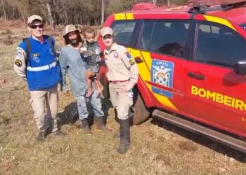 Forças de segurança encontram menino de 2 anos que estava desaparecido no Paraná